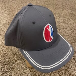 Snapback Logo Hat